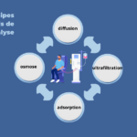 Les 4 Principes Essentiels de l’Hémodialyse