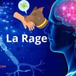 La rage : causes, prise en charge, prévention