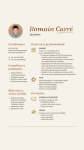 Forme de curriculum vitae 2